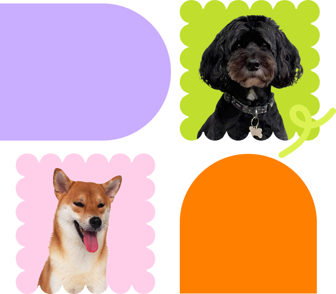 Raw Dog Food Clanfield